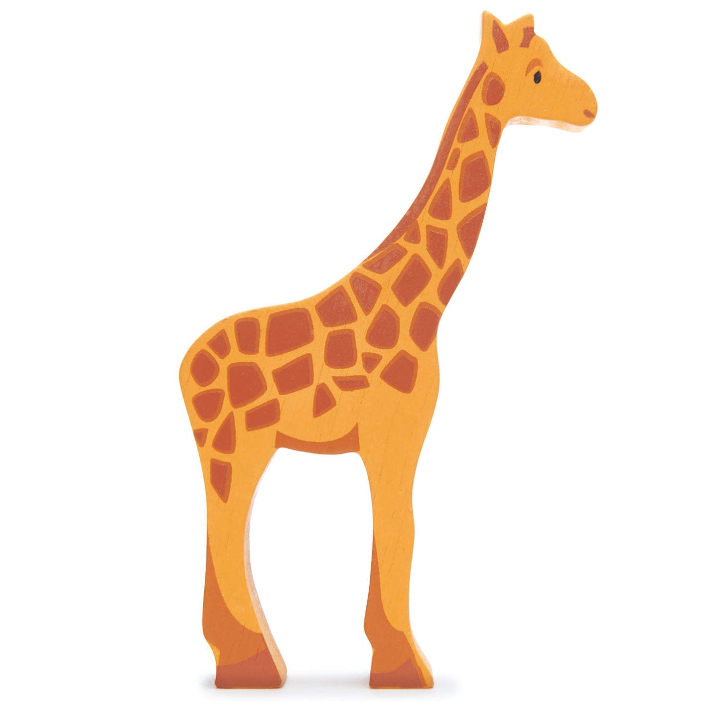 Safari Shelf Set