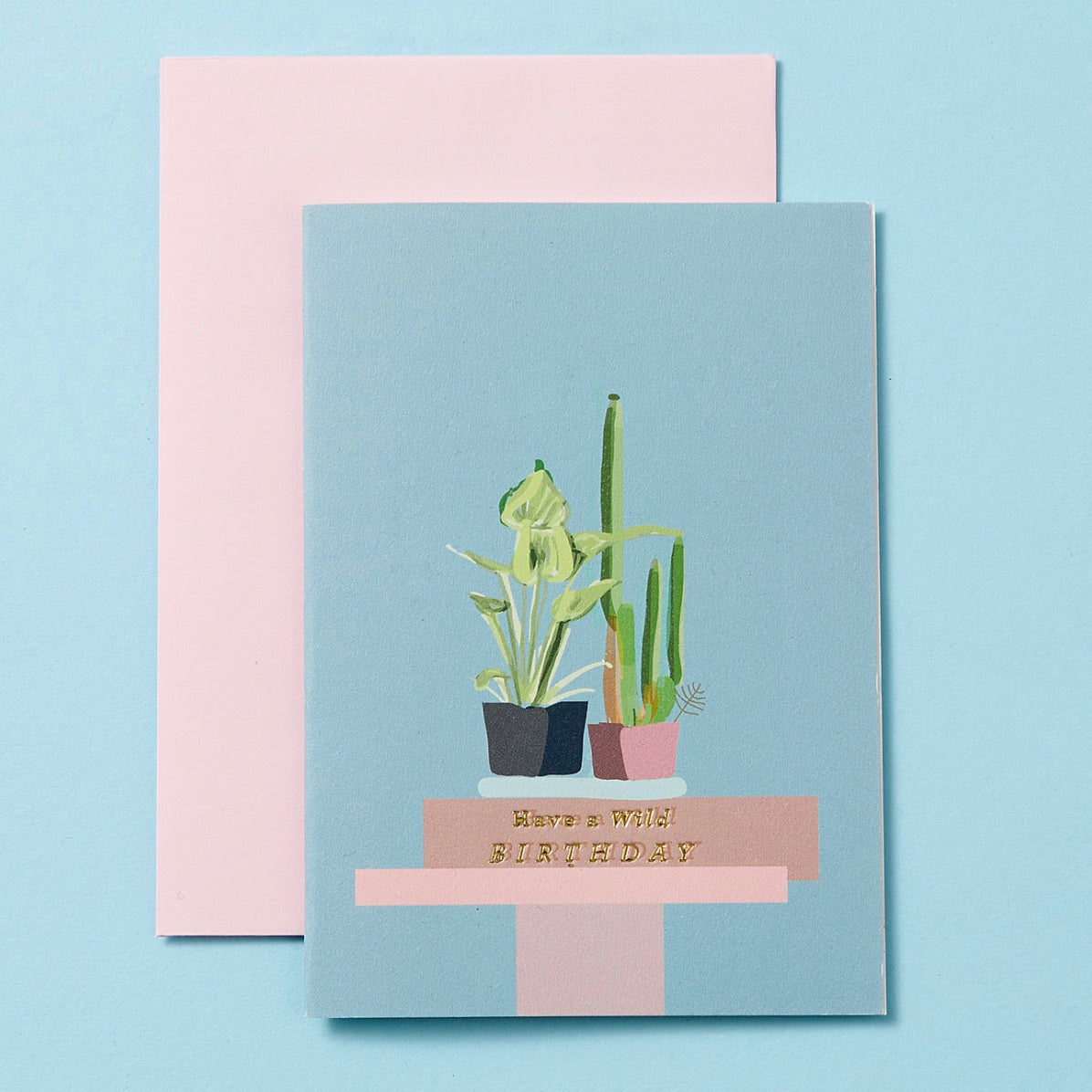 Have a Wild Birthday Greeting Card