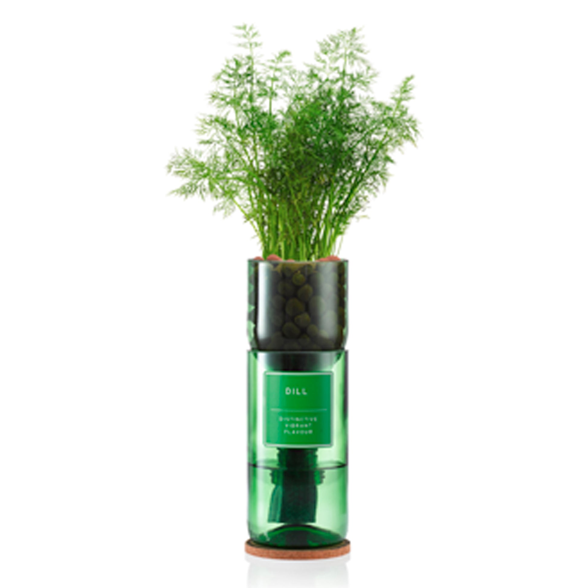 Hydro Herb kit with dill plant – self-watering hydroponic herb growing system made from an upcycled green wine bottle