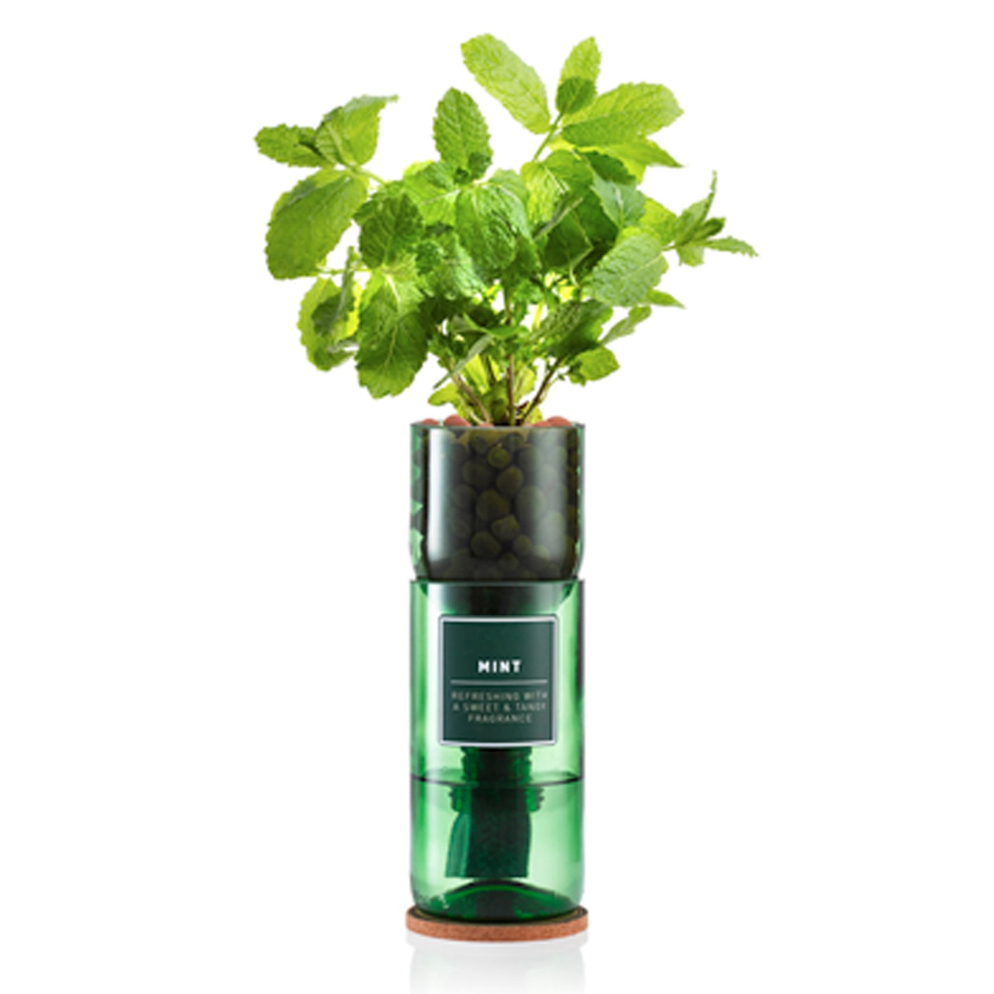A recycled wine bottle repurposed as a hydroponic planter, with mint herbs growing out of it.