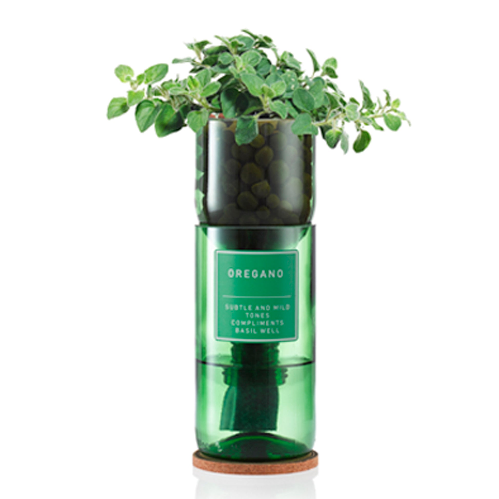 A recycled wine bottle repurposed as a hydroponic planter, with oregano herbs growing out of it.