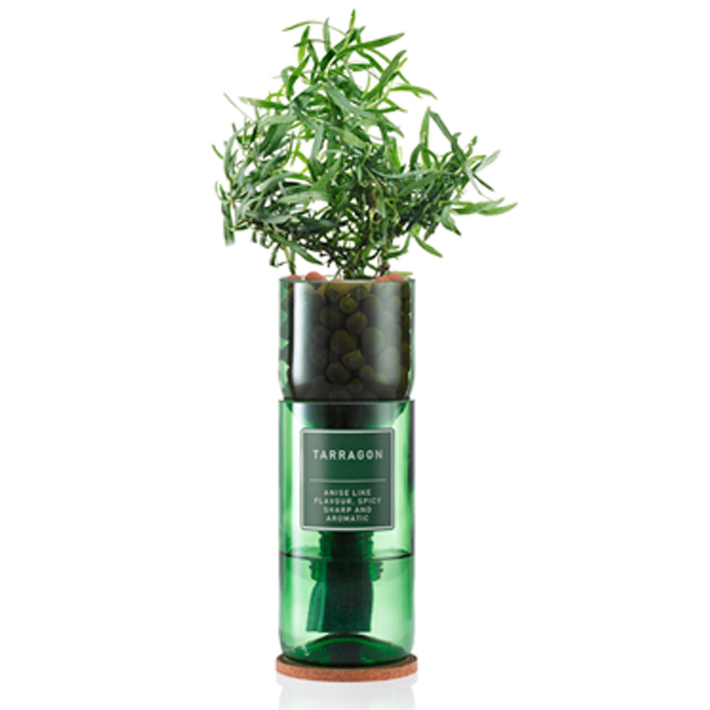 A recycled wine bottle repurposed as a hydroponic planter, filled with tarragon herbs growing out of it.