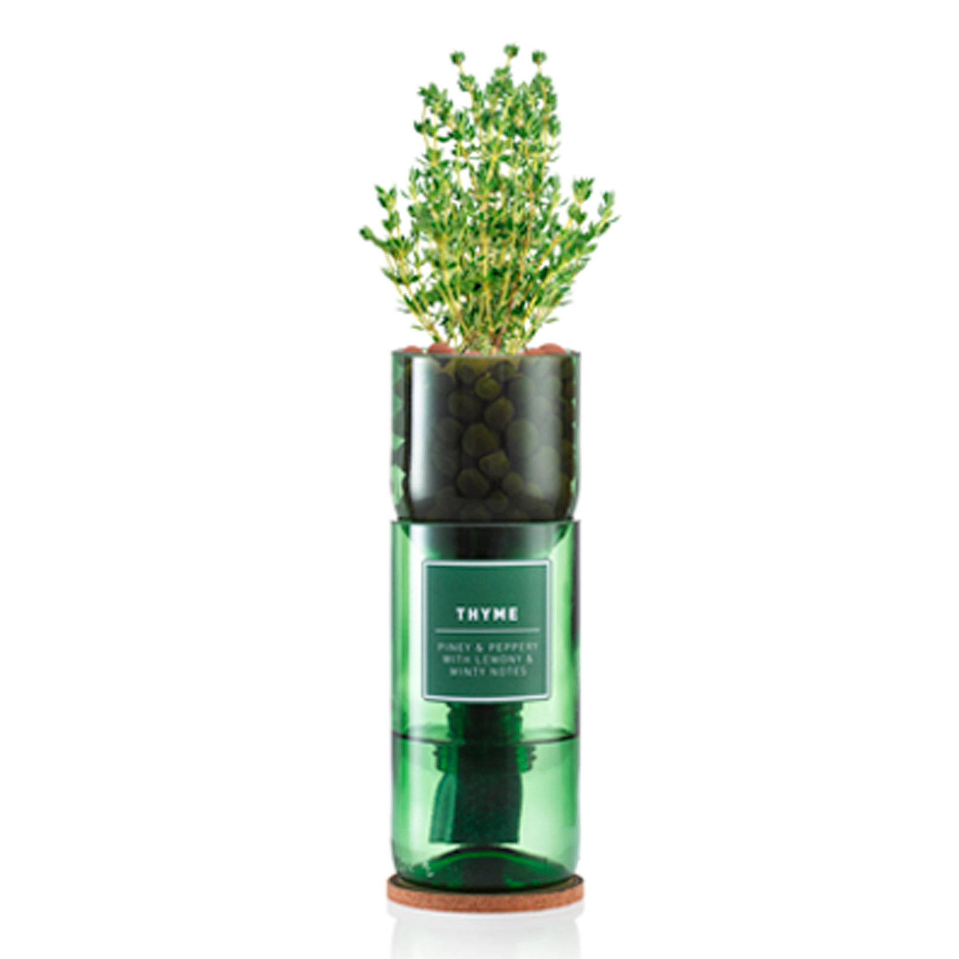 Grow your own thyme. A recycled wine bottle repurposed as a hydroponic planter, with thyme herbs growing out of it.
